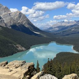 When in Banff National Park!